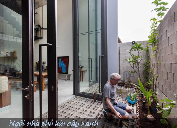 nhaphukincayxanh_7