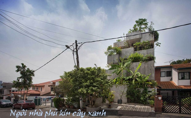 thietkenhaphukincayxanh_5