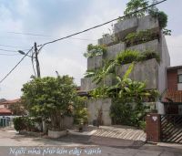 Chiêm ngưỡng không gian được phủ kín cây xanh tại Malaysia