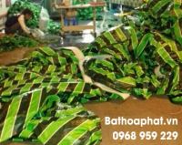 Bạt che nắng mưa Hòa Phát độ bền hơn 10 năm